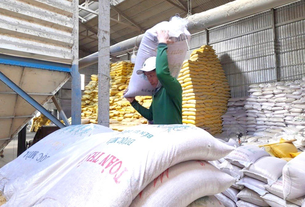 Các Quốc Gia Xuất Khẩu Nông Sản Hàng Đầu Vào Việt Nam Năm 2025