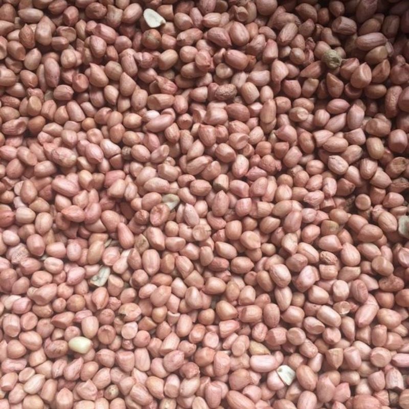 Nhân Đậu Phộng